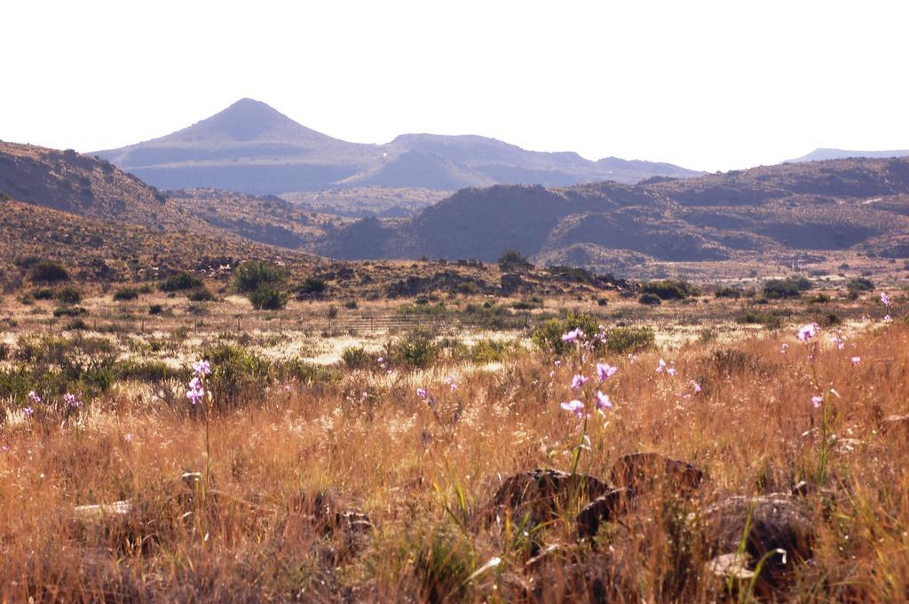 The Vale Karoo Farm Villa Nelspoort Dış mekan fotoğraf